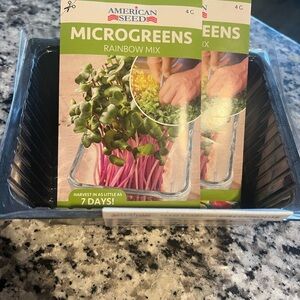 American Seed Microgreens Rainbow Mix